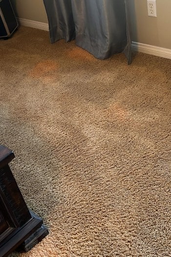 Satisfied Carpets Satisfied Carpets Carpet Cleaning in Paramus